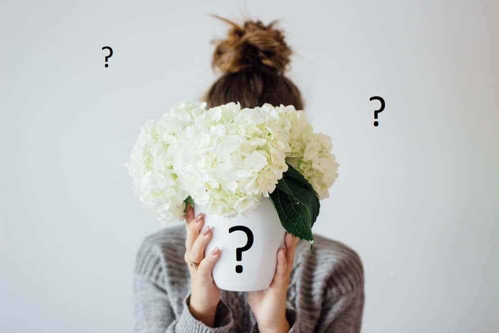 New blogger FAQs, frequently asked questions 