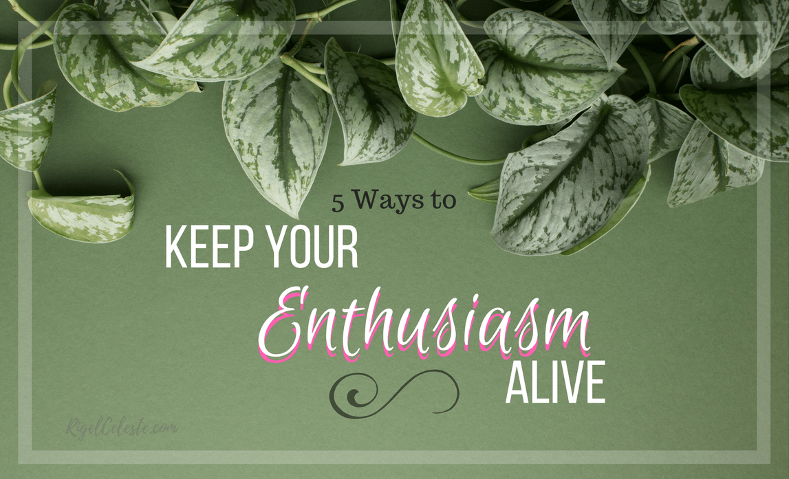 pothos greenery keep your enthusiasm alive rigel celeste
